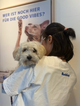 Buddies Groomerin mit einem hellen Hund im Arm vor dem Good-Vibes-Poster